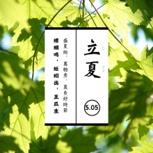 505,立夏。