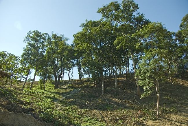 現場實景拍攝