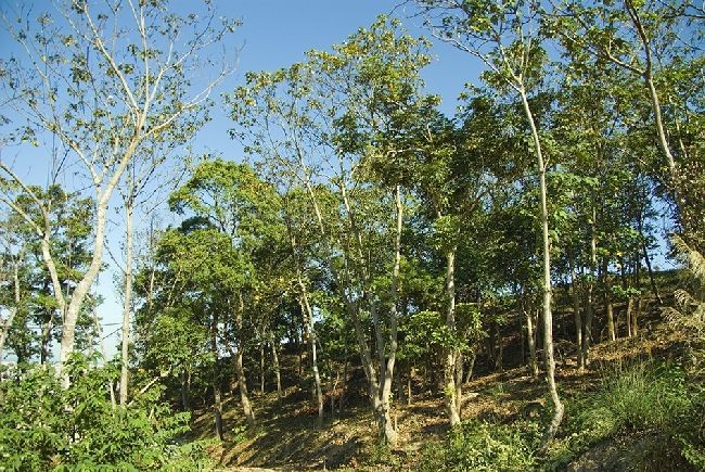 現場實景拍攝