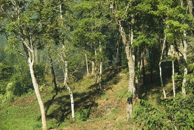 現場實景拍攝