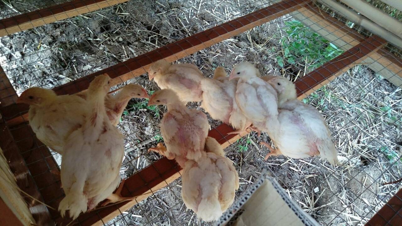 現場實景拍攝‧貴妃本尊