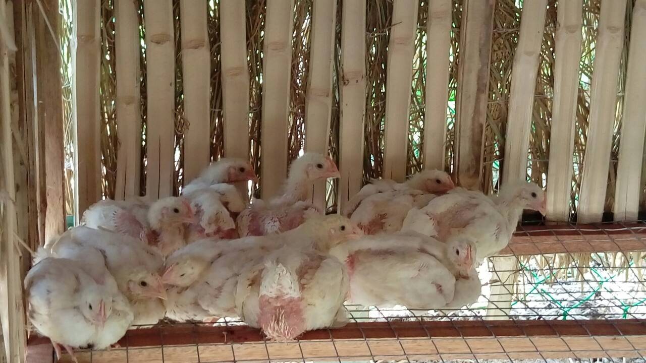 現場實景拍攝‧貴妃的姐妹淘