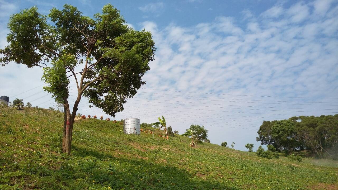 現場實景拍攝‧晴空朗朗