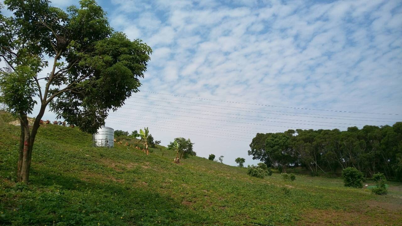 現場實景拍攝‧秋空澄霽