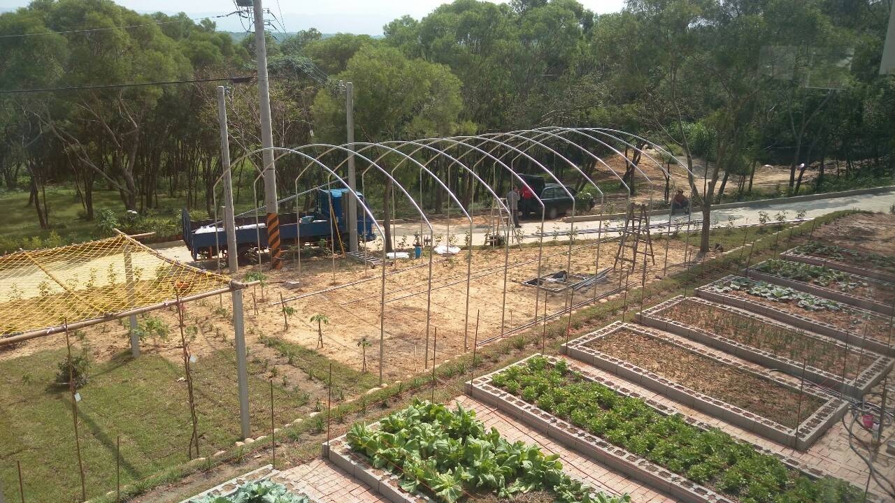 現場實景拍攝‧網室栽培初體驗
