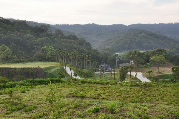 現場實景拍攝