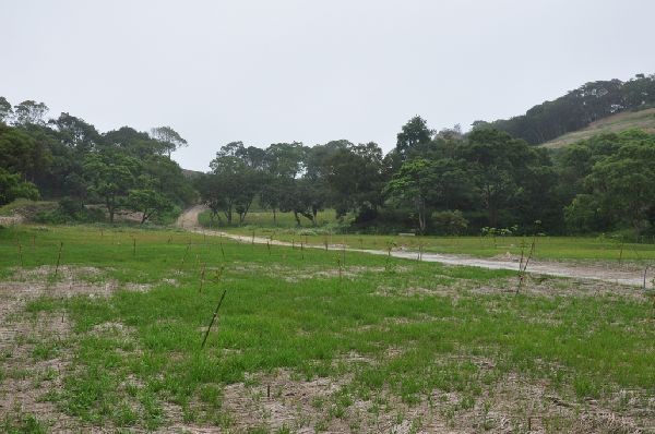 現場實景拍攝