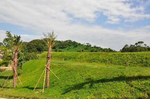 現場實景拍攝