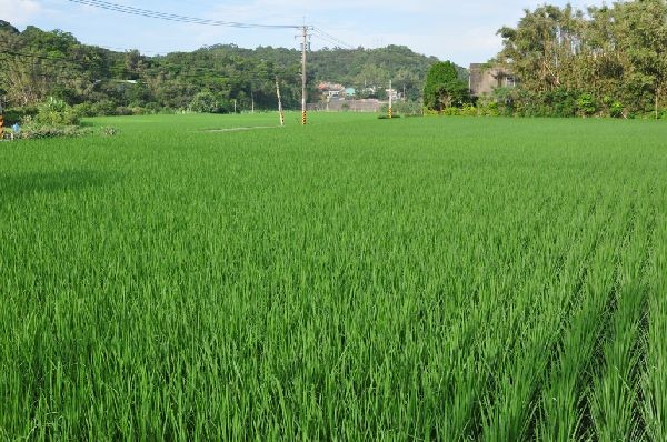 現場實景拍攝