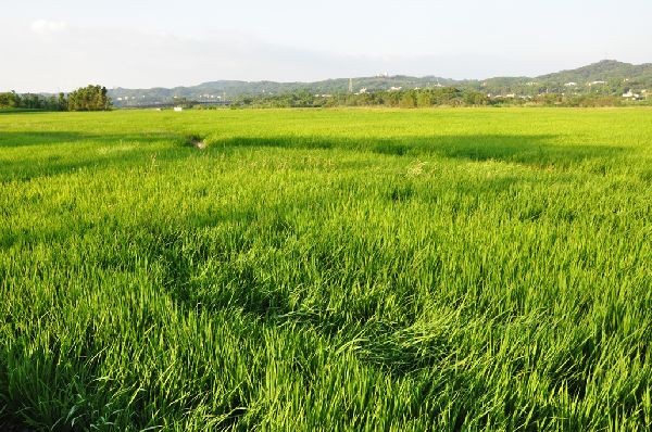 現場實景拍攝.128線好風光