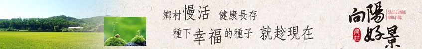 向陽好景